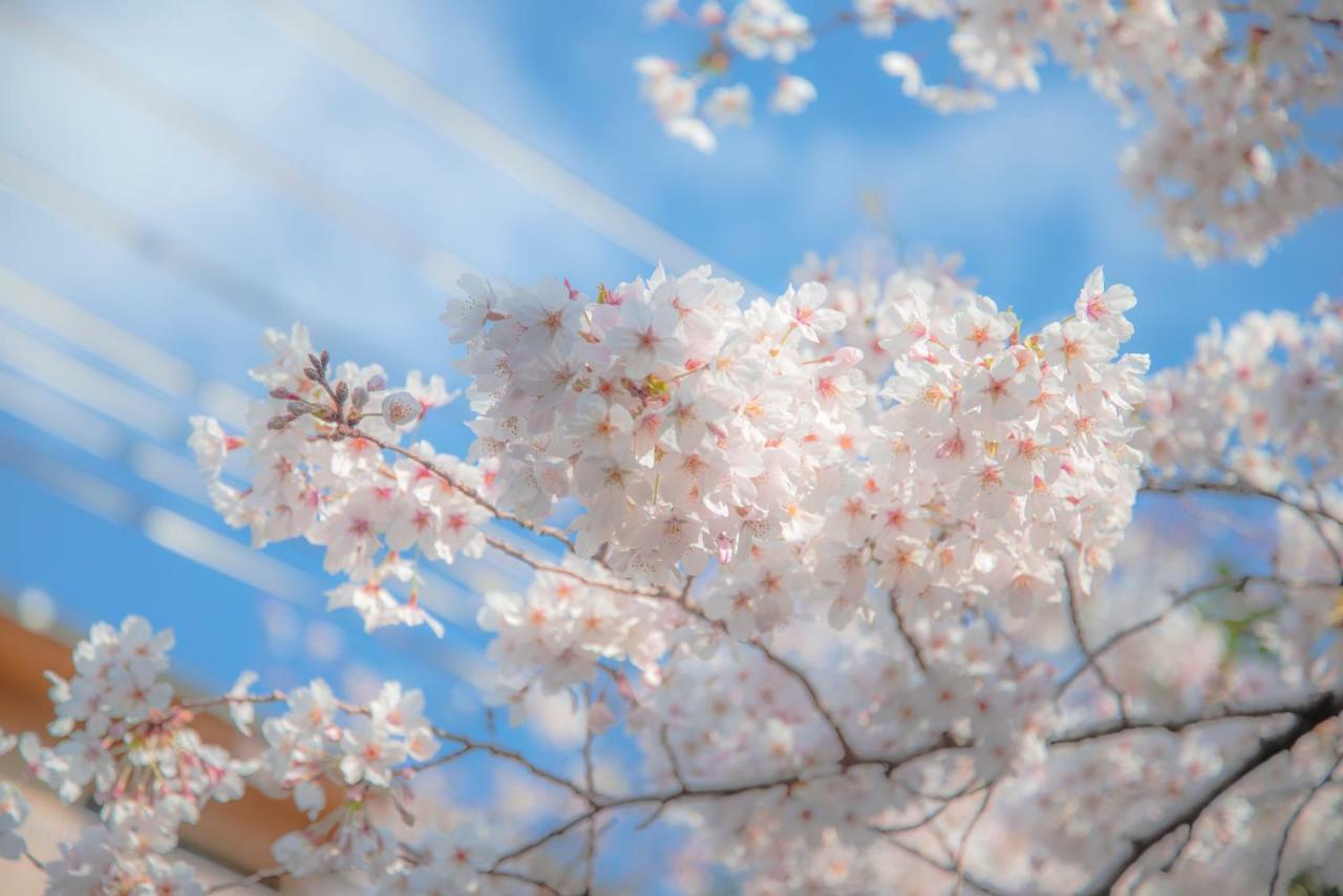 Готель Kyoto Takasegawa Bettei Екстер'єр фото