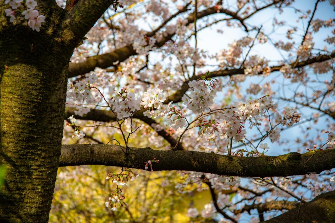 Готель Kyoto Takasegawa Bettei Екстер'єр фото